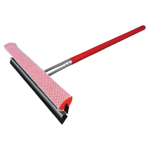 Long Handle Window Squeegee (Tay)